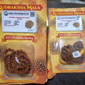 5 Face Rudraksha Mala