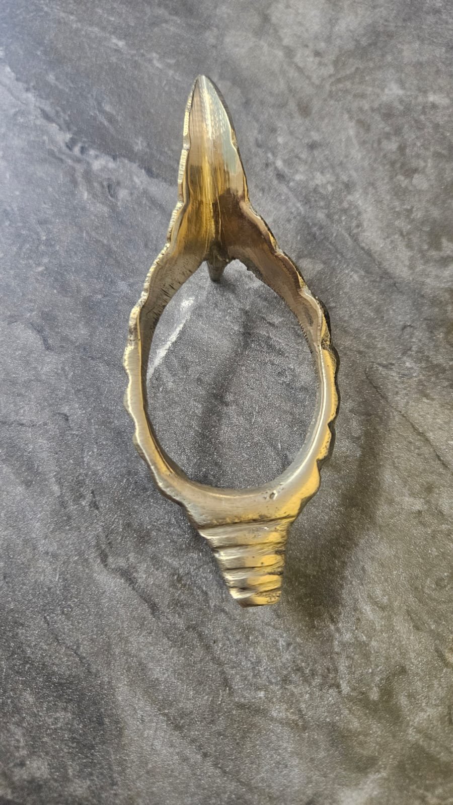 WhatsApp Image 2026-09-02 at 9.37.44 PM Antique Brass Shell Shankh