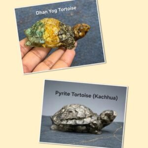 Crystal Tortoise Set