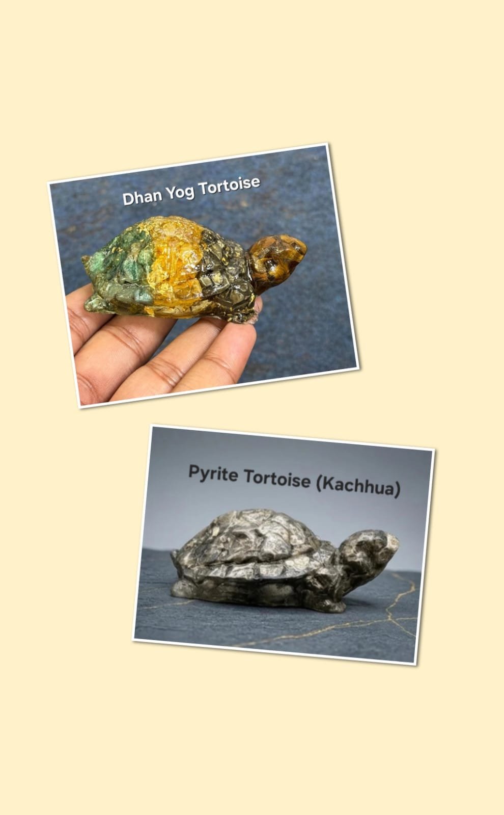 WhatsApp Image 2026-09-05 at 11.36.18 PM Crystal Tortoise Set